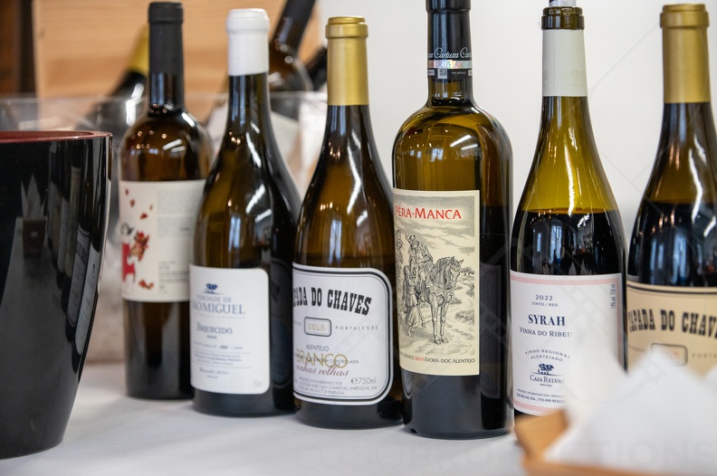 Luso 2024-©Tony da Silva-818