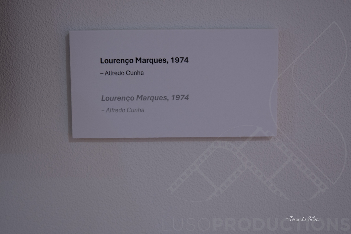Luso 2024-591