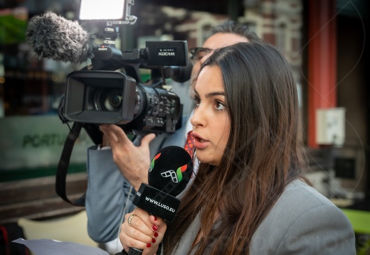 © Jorge Oliveira (478 visits) © Jorge Oliveira